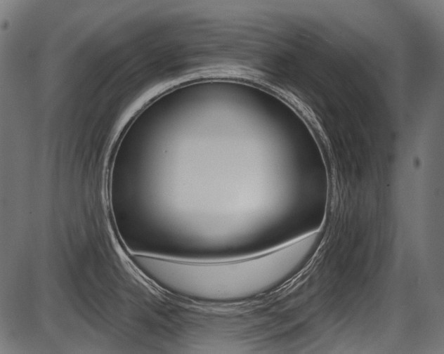 X0000087701342200705040842
