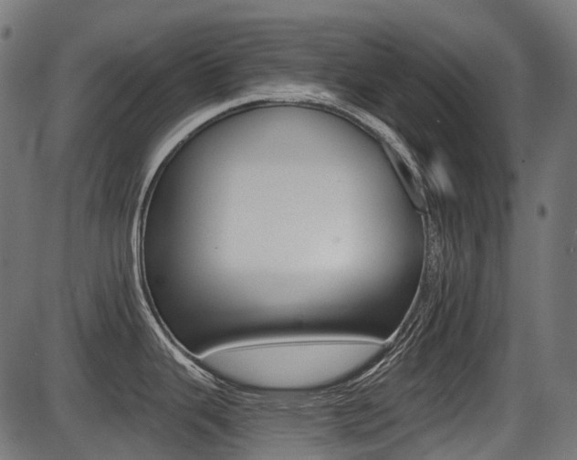 X0000087701343200705040842