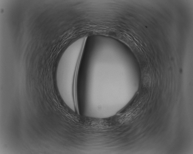 X0000087701345200705040841