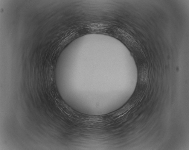 X0000087701346200705040841