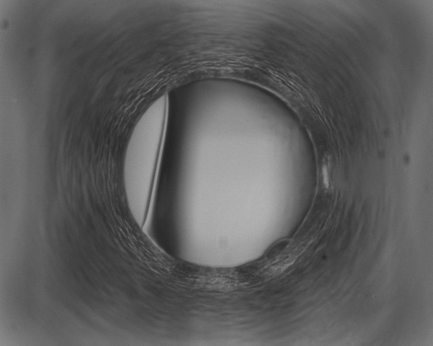 X0000087701347200705040841