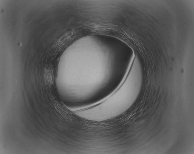 X0000087701348200705040841