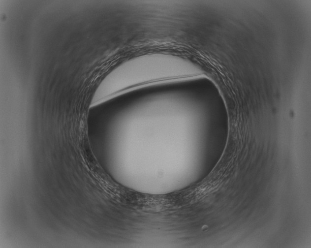 X0000087701349200705040841