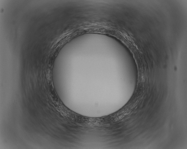 X0000087701350200705040841
