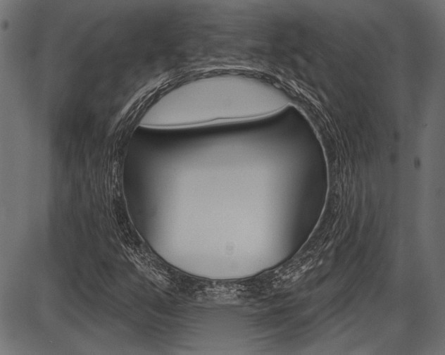 X0000087701351200705040841
