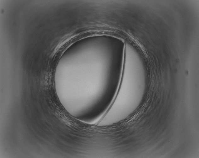 X0000087701352200705040841