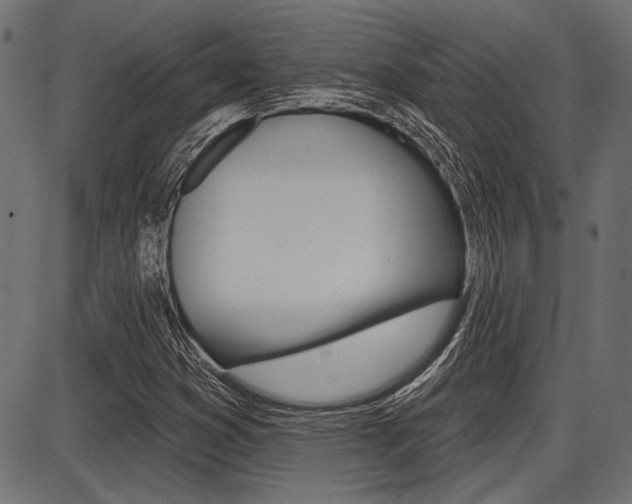 X0000087701353200705040841