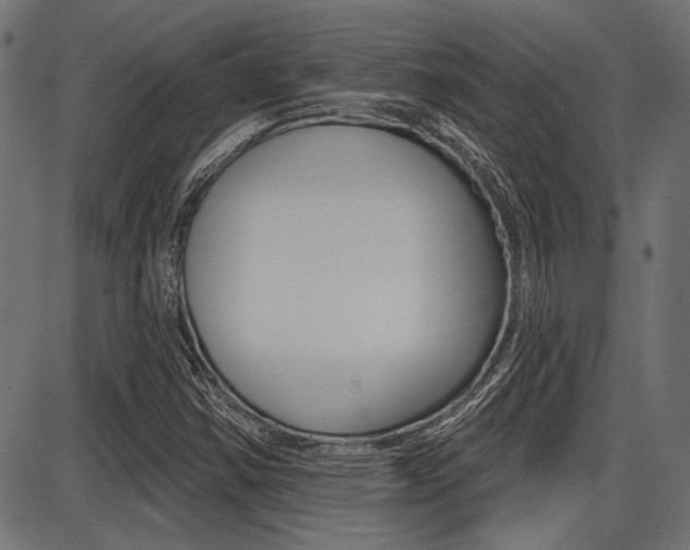 X0000087701354200705040841
