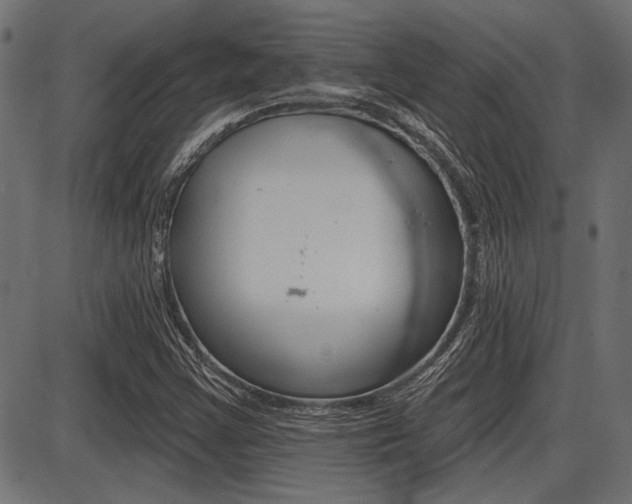 X0000087701355200705040841