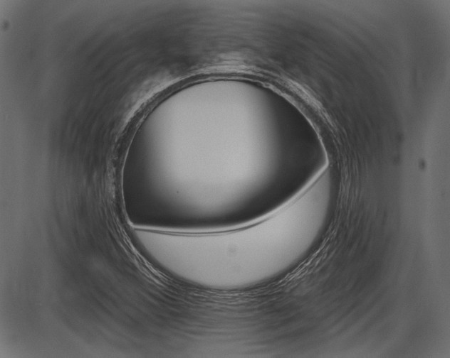 X0000087701356200705040841