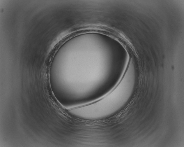 X0000087701360200705040841
