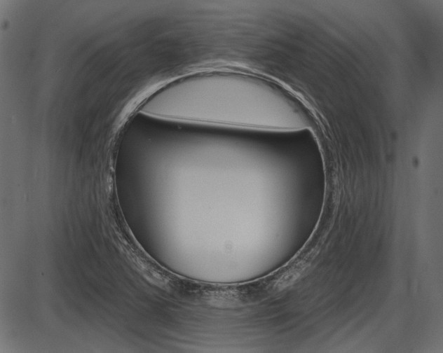 X0000087701363200705040841