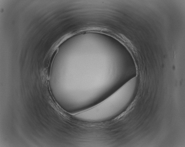 X0000087701369200705040840