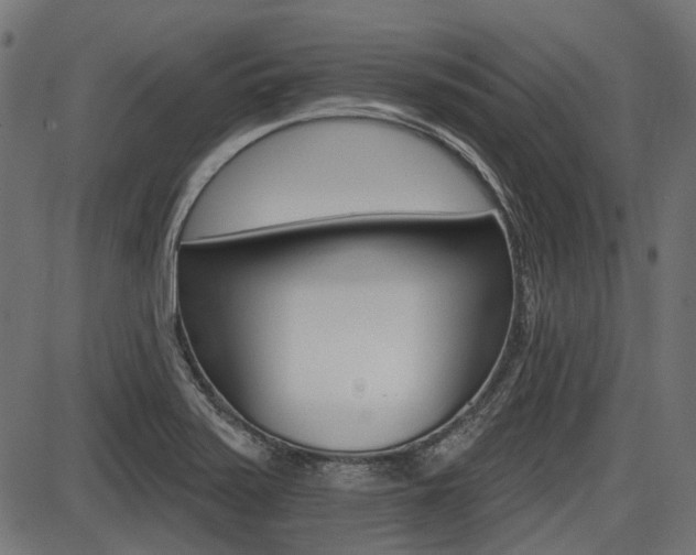 X0000087701371200705040840