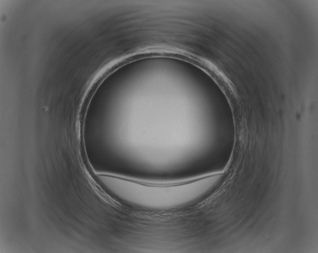 X0000087701372200705040840