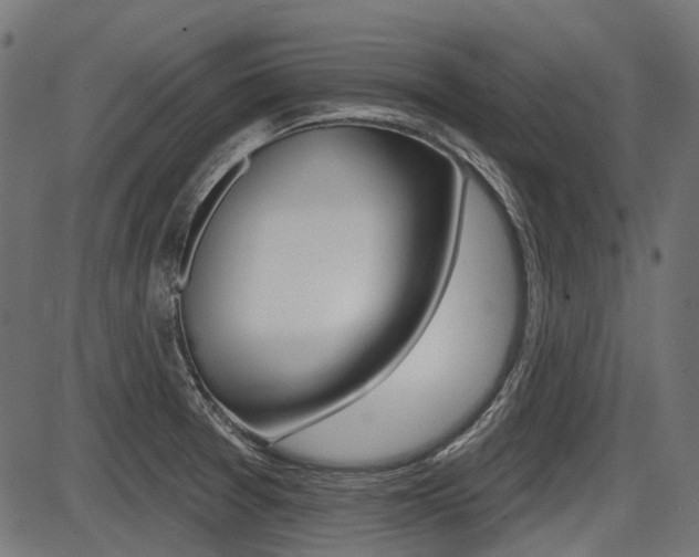 X0000087701377200705040840