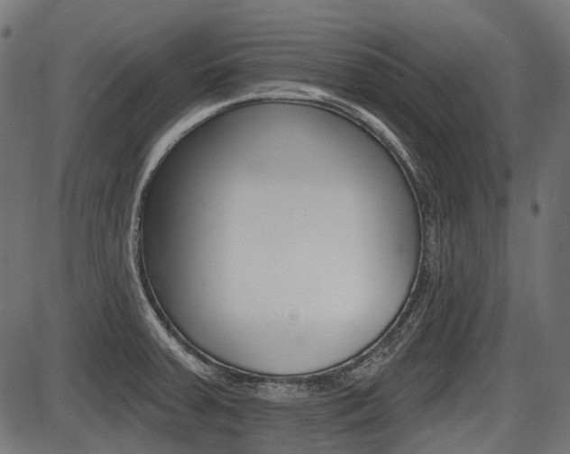 X0000087701379200705040840