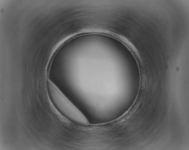 X0000087701380200705040840