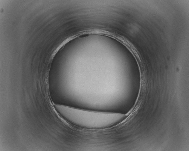 X0000087701385200705040840