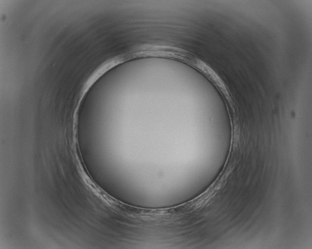 X0000087701386200705040840