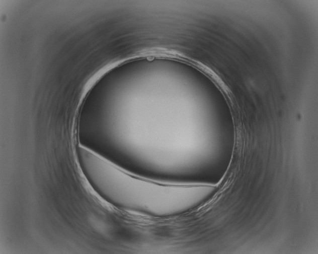 X0000087701387200705040840