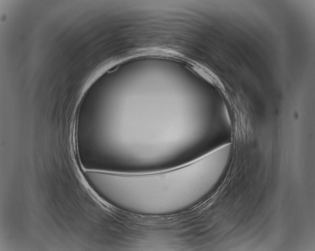 X0000087701391200705040840
