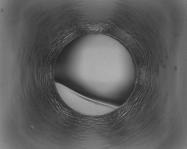 X0000087701394200705040839