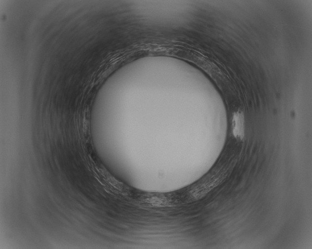 X0000087701395200705040839