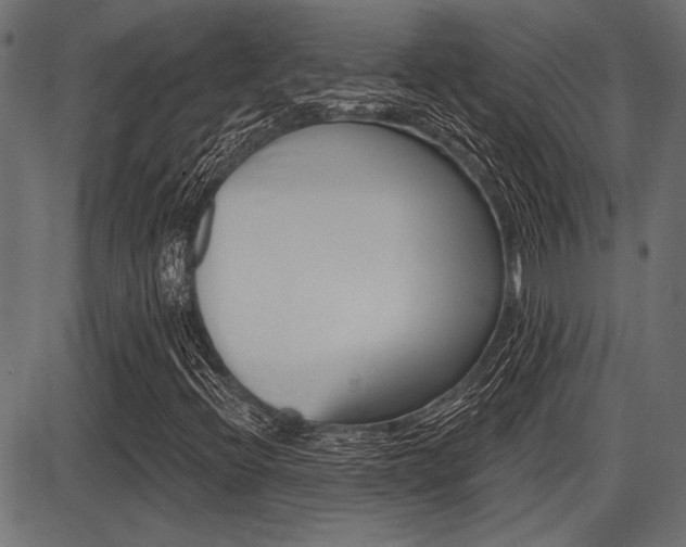 X0000087701396200705040839