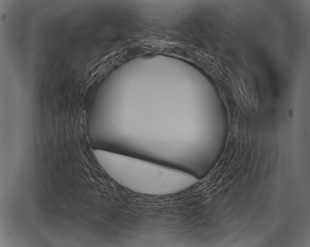 X0000087701397200705040839