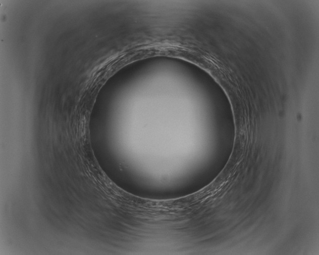 X0000087701398200705040839