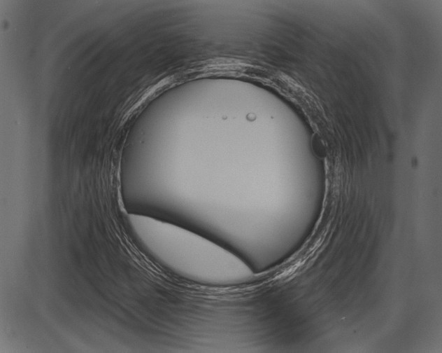 X0000087701401200705040839