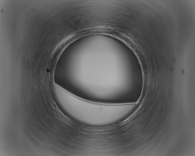 X0000087701402200705040839
