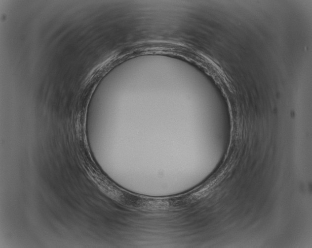 X0000087701403200705040839