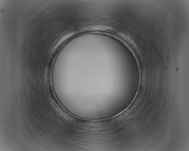 X0000087701404200705040839