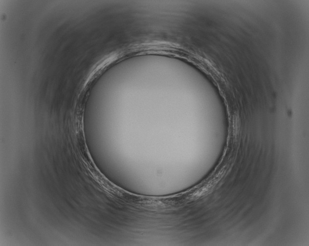 X0000087701405200705040839