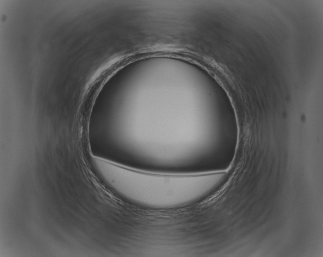 X0000087701406200705040839
