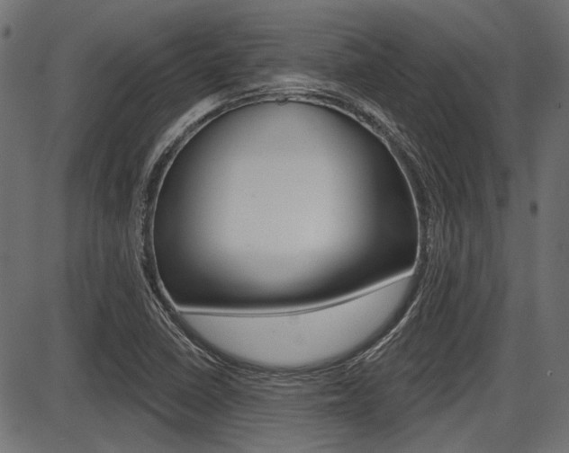 X0000087701410200705040840