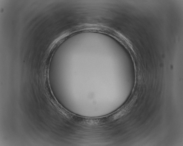 X0000087701411200705040840