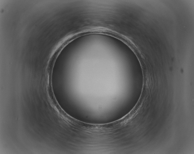 X0000087701414200705040840