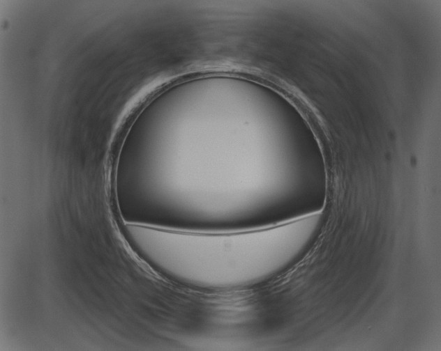 X0000087701416200705040840