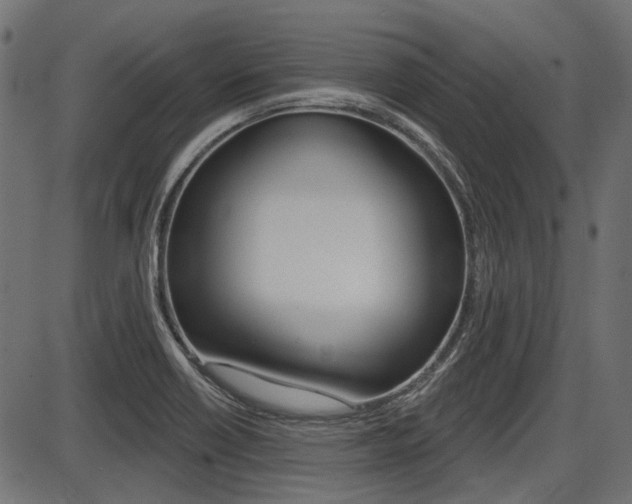 X0000087701418200705040840