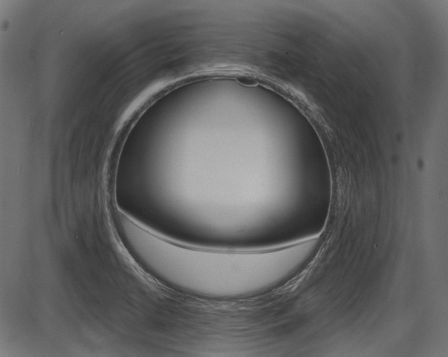 X0000087701422200705040840