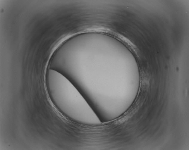X0000087701423200705040840
