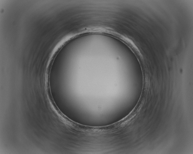 X0000087701424200705040840