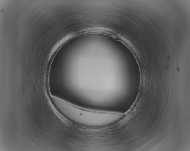 X0000087701426200705040840