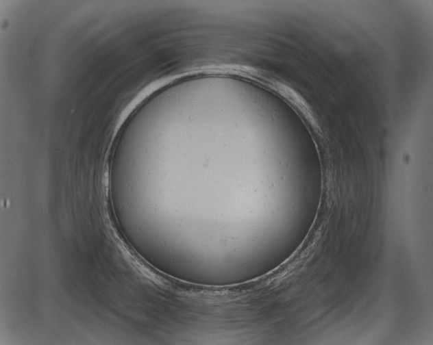 X0000087701428200705040840