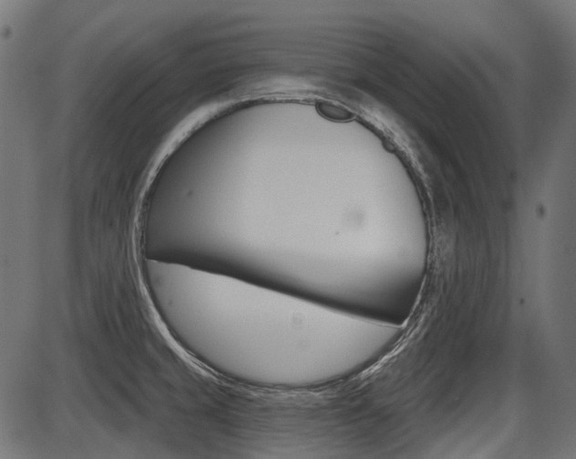 X0000087701429200705040840