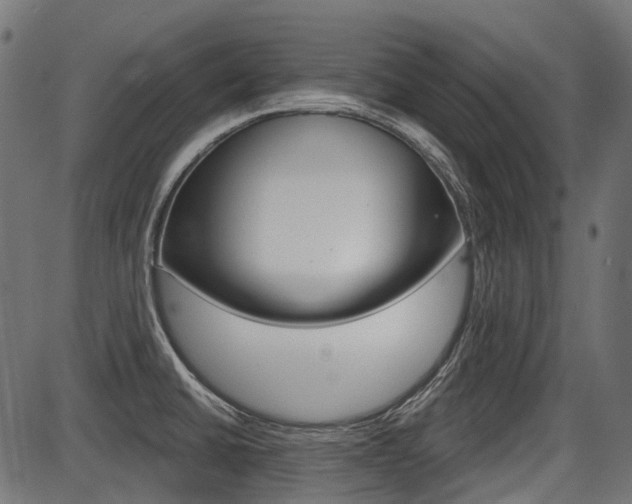 X0000087701430200705040840