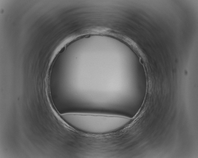 X0000087701432200705040840